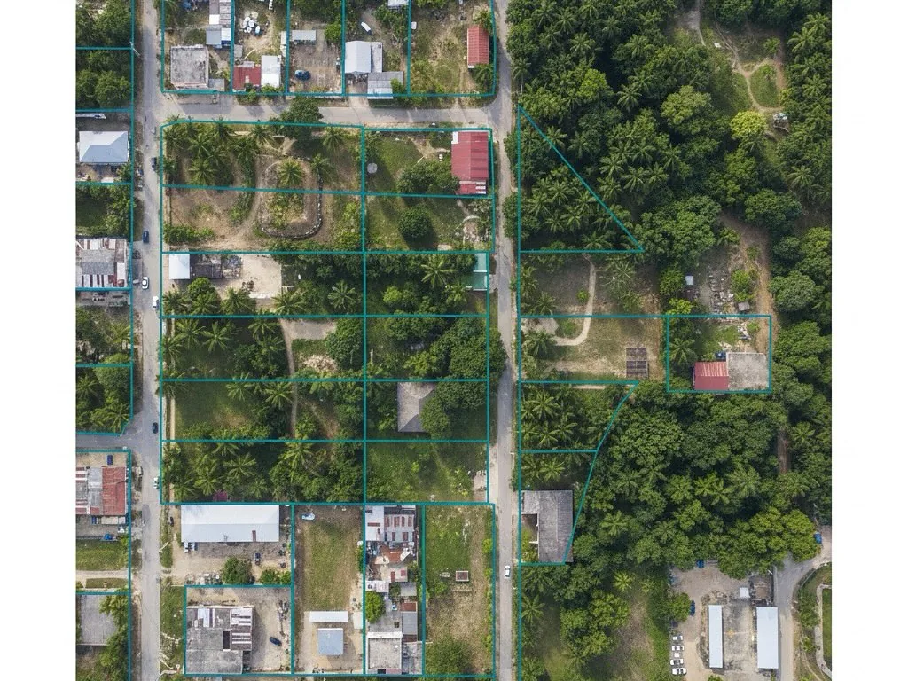 Ortofoto de un sector con las parcelas delimitadas sobre la imagen