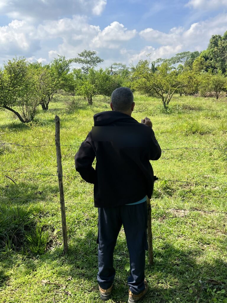 Trabajo de mensura en campo: linderos y puntos marcados