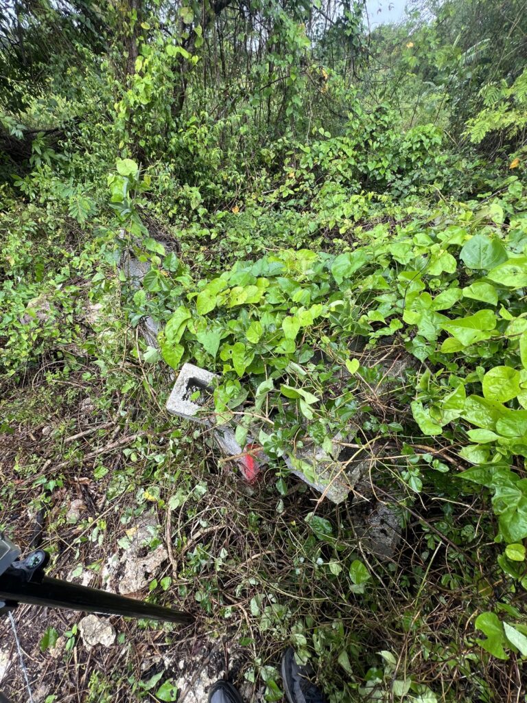 Trabajo de mensura en campo: linderos y puntos marcados