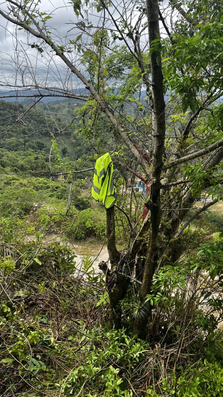 Trabajo de mensura en campo: linderos y puntos marcados