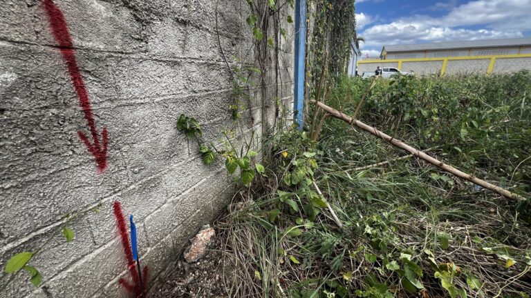 Trabajo de mensura en campo: linderos y puntos marcados