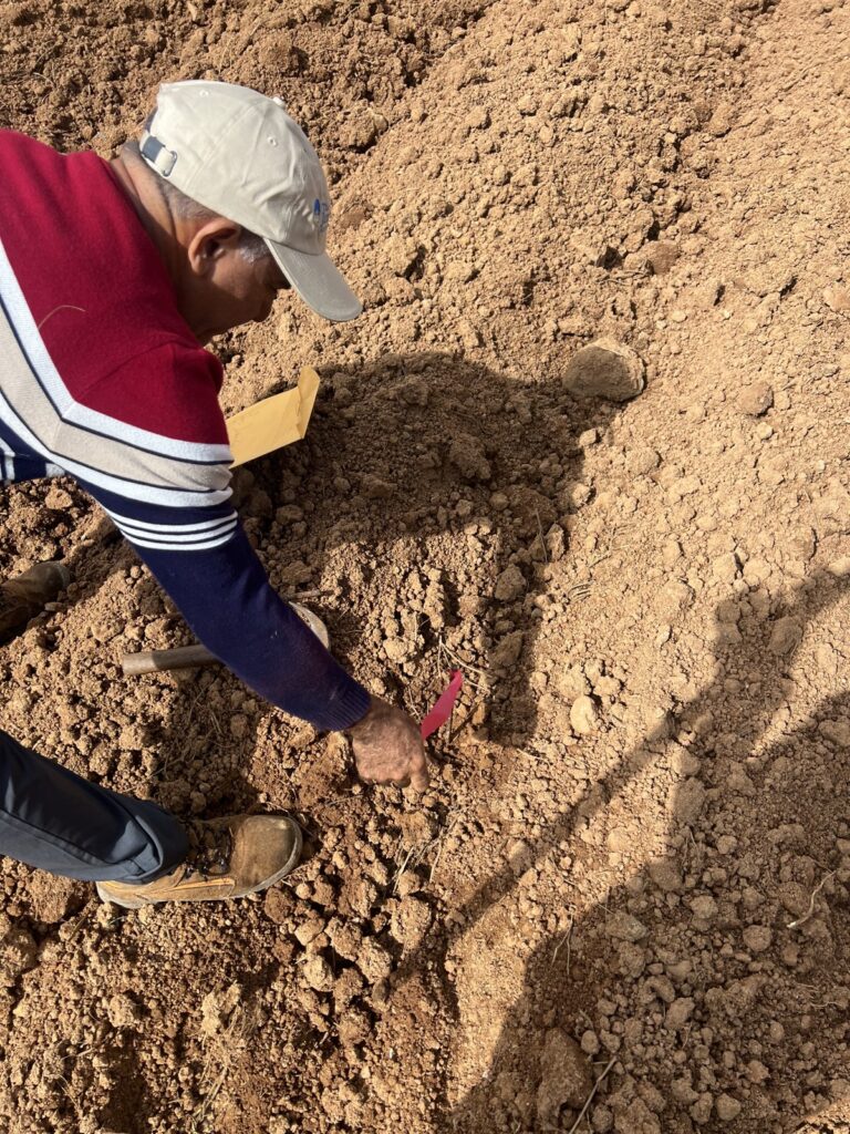 Trabajo de mensura en campo: linderos y puntos marcados